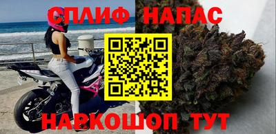 сатива Кимры
