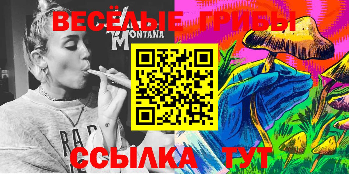 Псилоцибиновые грибы мухоморы  Галлюциногенные грибы MAGIC MUSHROOMS  Киров  Вход с VPN 